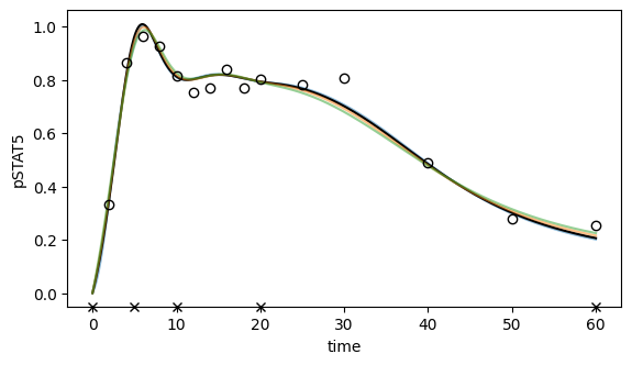../../_images/example_example_amici_splines_swameye_example_amici_splines_Swameye2003_83_0.png