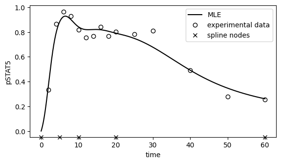 ../../_images/example_example_amici_splines_swameye_example_amici_splines_Swameye2003_33_0.png