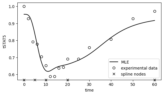 ../../_images/example_example_amici_splines_swameye_example_amici_splines_Swameye2003_34_0.png