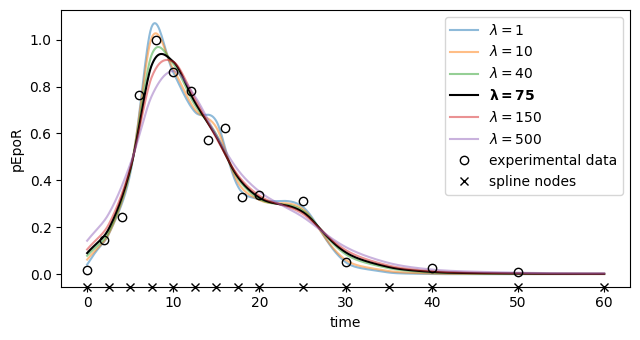 ../../_images/example_example_amici_splines_swameye_example_amici_splines_Swameye2003_56_0.png