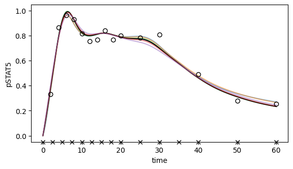 ../../_images/example_example_amici_splines_swameye_example_amici_splines_Swameye2003_57_0.png