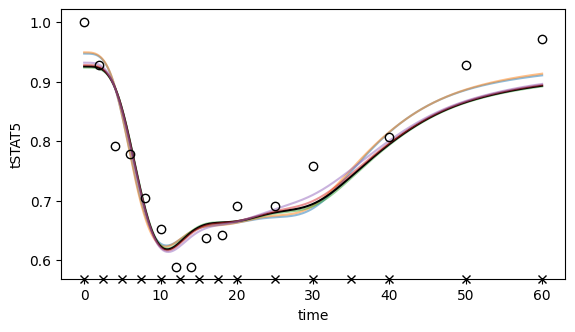 ../../_images/example_example_amici_splines_swameye_example_amici_splines_Swameye2003_58_0.png